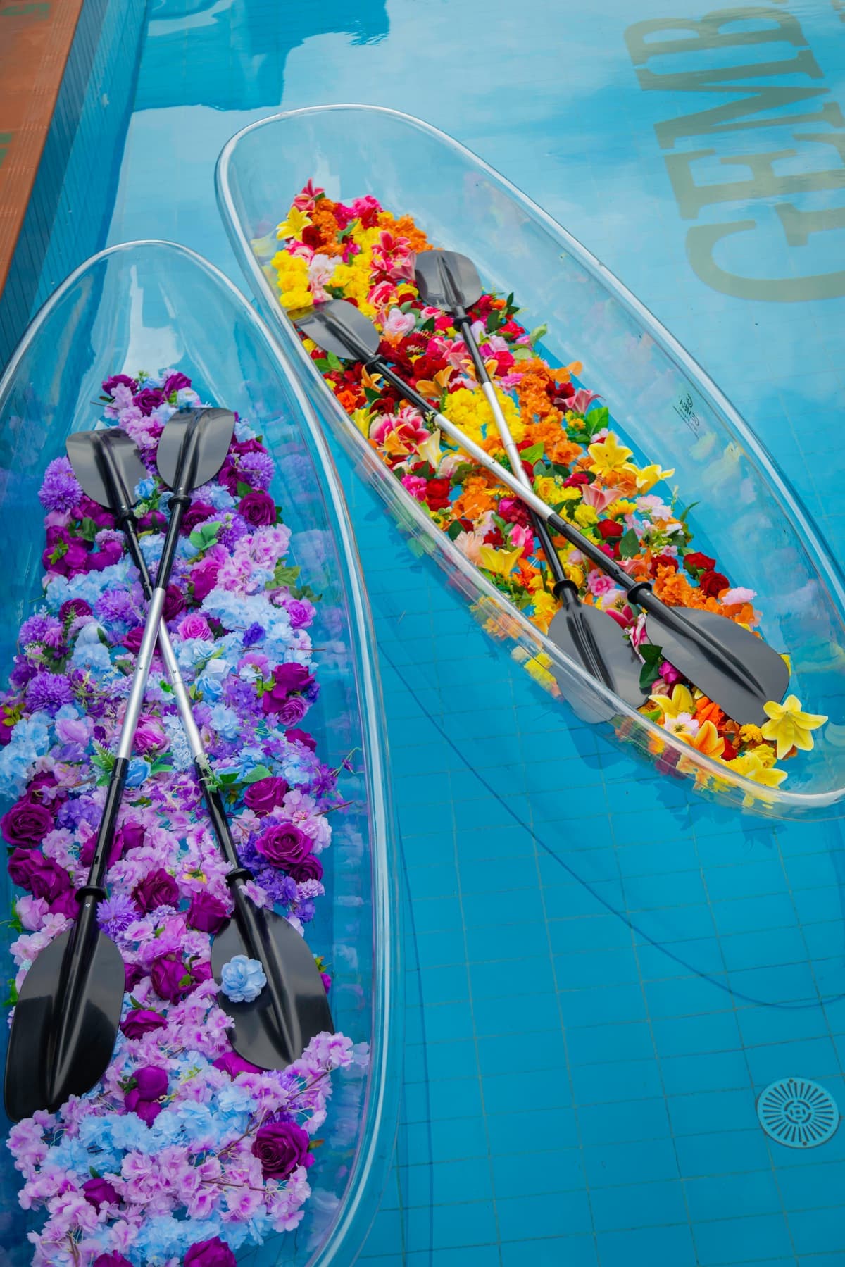 Decorated Gemba pool venue